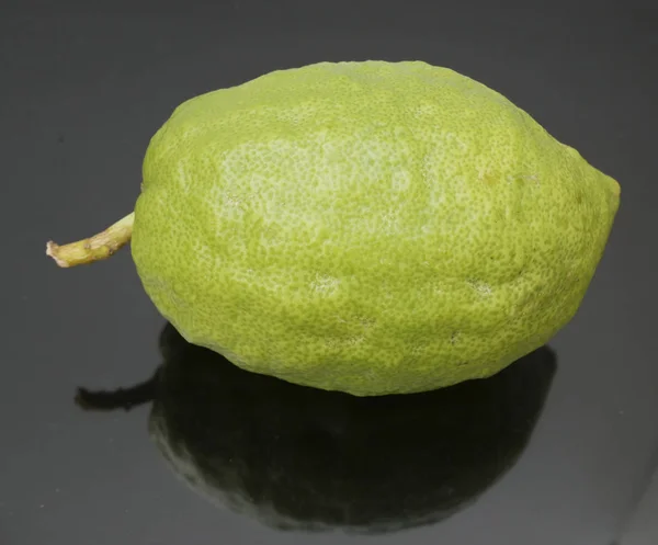 Etrog One Main Symbols Sukkot Holiday Jewish Name Citron Fruit — Stock Photo, Image