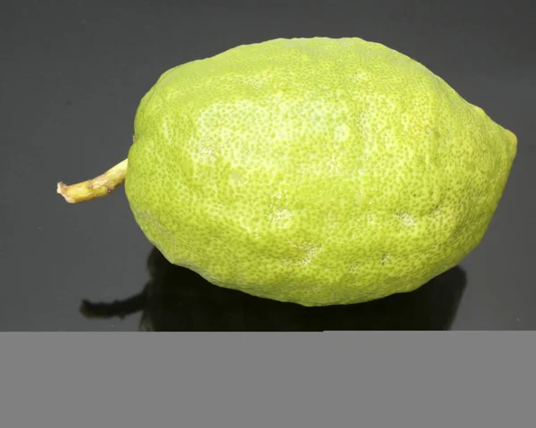 Cytron Jest Jednym Głównych Symboli Święto Sukot Nazwę Żydowskiej Citron — Zdjęcie stockowe