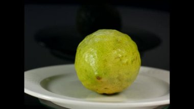 İbranice adı limon meyve narenciye aile için yuvarlak görünümüdür Etrog, Sukkot tatil ana sembollerinden biri olan meyve