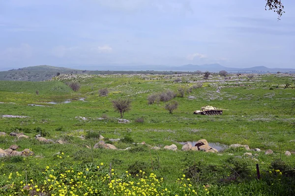 Réservoir syrien rembourré — Photo