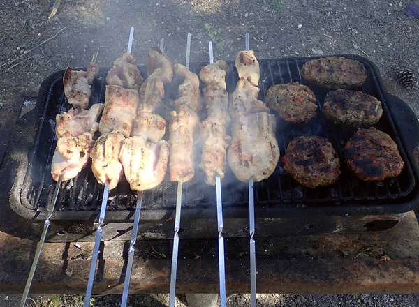 Cozinhar pedaços de frango em espetos e kebabs — Fotografia de Stock