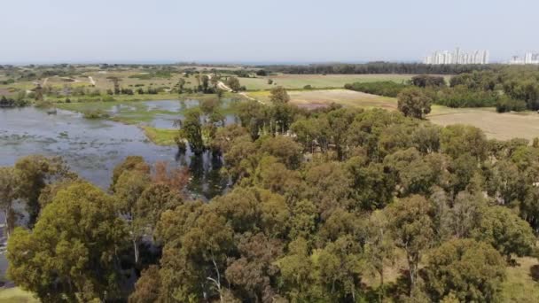 Sharon National Forest Park Het Westen Van Hadera Een Regenachtige — Stockvideo