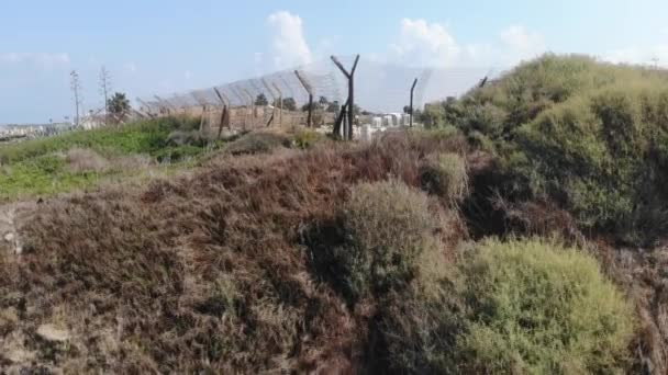 Caesarea Srail Ulusal Akdeniz Parkı Nda Kral Herod Amfitiyatro Hipodrom — Stok video