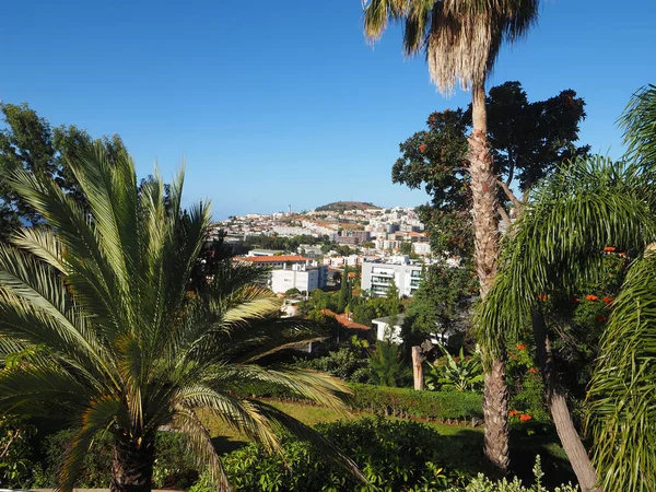 Funchal, Portekiz 'in Madeira Adası özerkliğinin başkentidir.