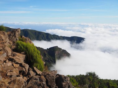 Madeira Adası 'nın doğu yakası Arieiro tepesindeki bulutların üstünde.