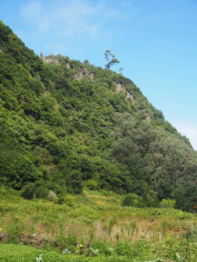 Portekiz 'in Madeira otonom adasındaki dağ yamaçlarında ve ortancalarla çevrili volkanik taştan yapılmış Chao da Ribeira köyü.