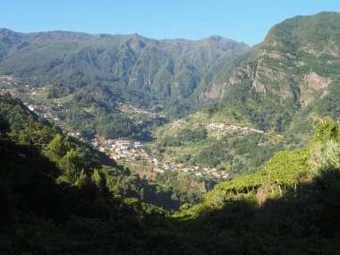 Portekiz 'in özerk bir bölgesi olan Madeira adasındaki Quinta Barbuzano' daki üzüm bağları ve şaraphaneler.
