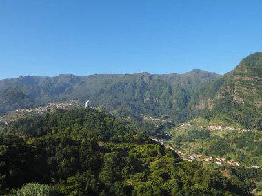 Portekiz 'in özerk bir bölgesi olan Madeira adasındaki Quinta Barbuzano' daki üzüm bağları ve şaraphaneler.
