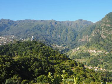 Portekiz 'in özerk bir bölgesi olan Madeira adasındaki Quinta Barbuzano' daki üzüm bağları ve şaraphaneler.