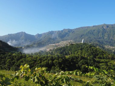 Portekiz 'in özerk bir bölgesi olan Madeira adasındaki Quinta Barbuzano' daki üzüm bağları ve şaraphaneler.
