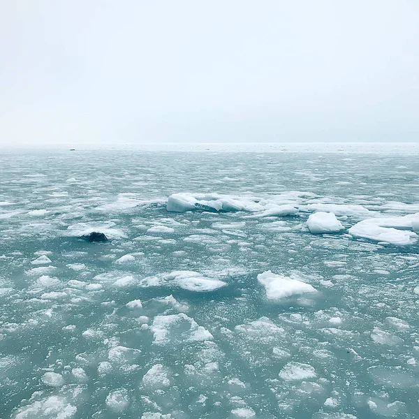 Donmuş Buz Parçaları Ile Görünümünü — Stok fotoğraf