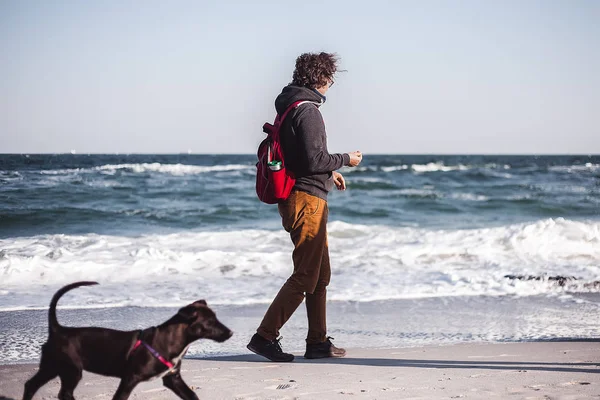 Gelukkig Jongeman Met Hond Wandelen Aan Zandstrand — Stockfoto