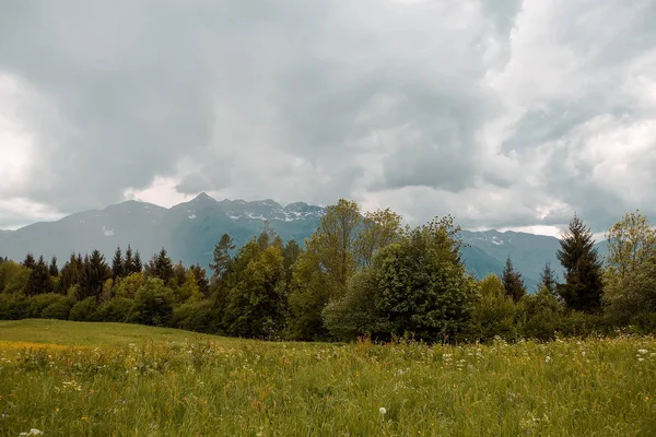 Vista Panorâmica Paisagem Montanha Fresca Sob Céu Nublado — Fotografia de Stock