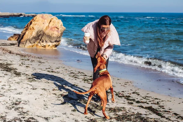 Νεαρή Γυναίκα Παίζει Σκυλί Και Πίνοντας Καφέ Στην Αμμώδη Ακτή — Φωτογραφία Αρχείου
