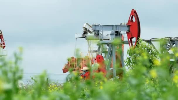 Arbeitender Ölpumpenheber in einem Rapsfeld — Stockvideo