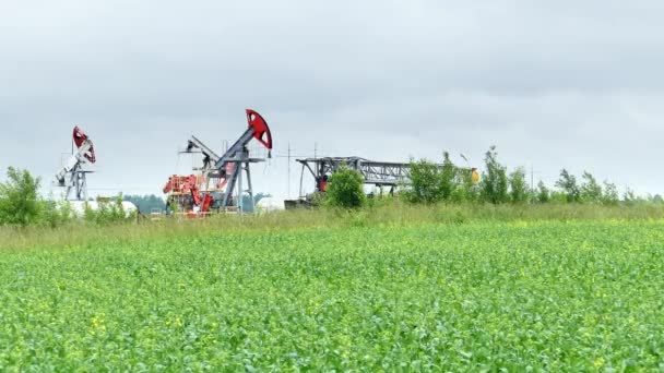 Jack de bomba de aceite de trabajo en un campo de colza — Vídeos de Stock