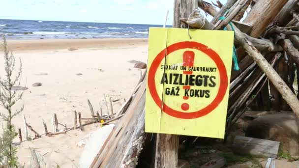 Improvvisato driftwood rifugio spiaggia rifugio — Video Stock