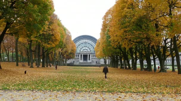 Hora de outono em Cinquantenaire Parc, Bruxelas — Vídeo de Stock