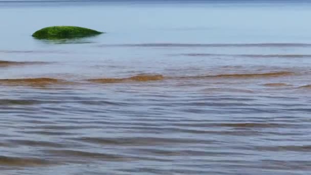 Calm seascape with stones — Stock Video