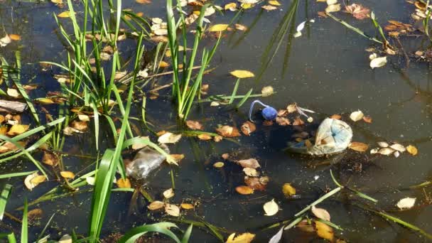 Плаваючі пластикові пляшки в забрудненій ставковій воді — стокове відео