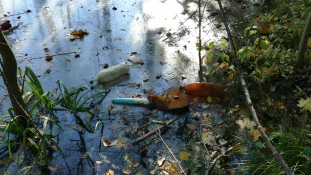 Botellas de plástico flotantes en un estanque contaminado — Vídeo de stock