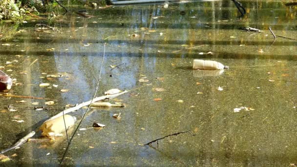 Schwimmende Plastikflaschen im verschmutzten Teichwasser — Stockvideo