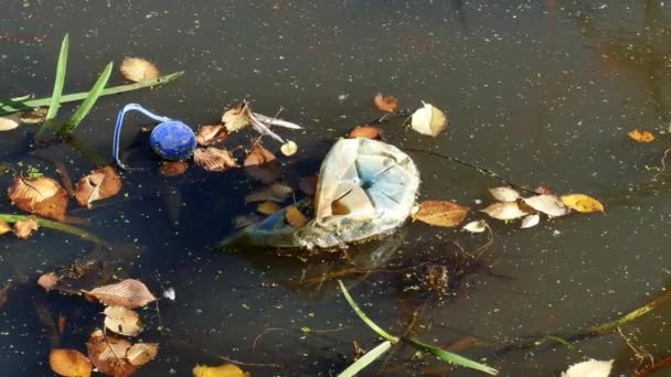 Bouteilles en plastique flottantes dans un étang pollué — Video