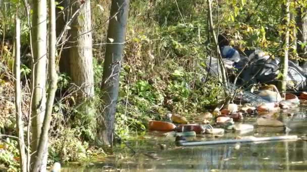 Bouteilles en plastique flottantes dans un étang pollué — Video