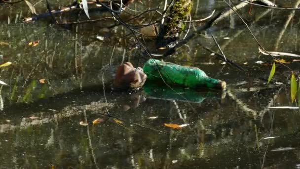 Плавучие пластиковые бутылки в загрязненной воде пруда — стоковое видео
