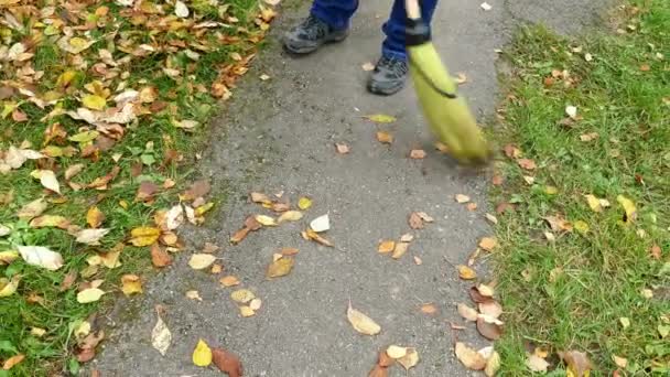 Žena s kartáčem zametal spadané listí — Stock video