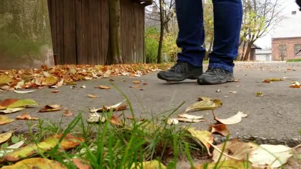 Женщина с кистью подметает опавшие листья — стоковое видео