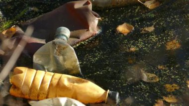 Bir kirli göl suyu plastik şişelerde yüzen