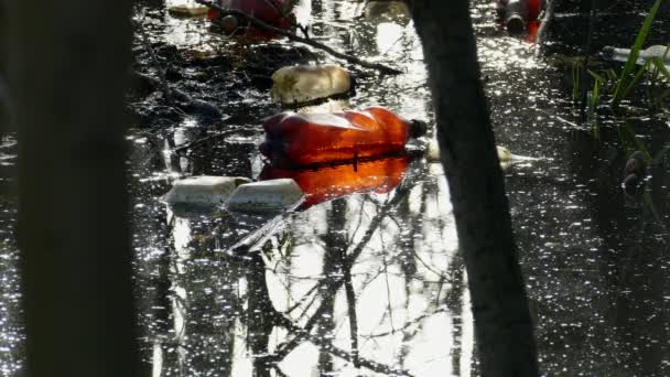Плаваючі пластикові пляшки в забрудненій ставковій воді — стокове відео