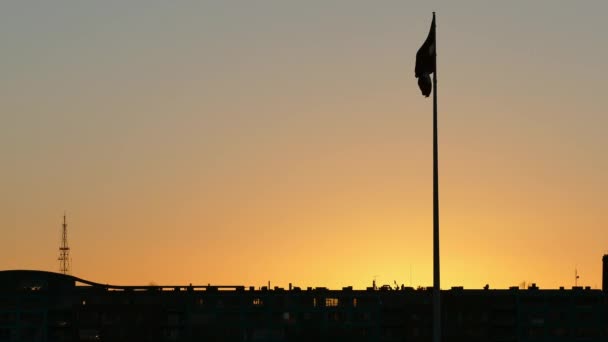 Enorme flage silhouet — Stockvideo