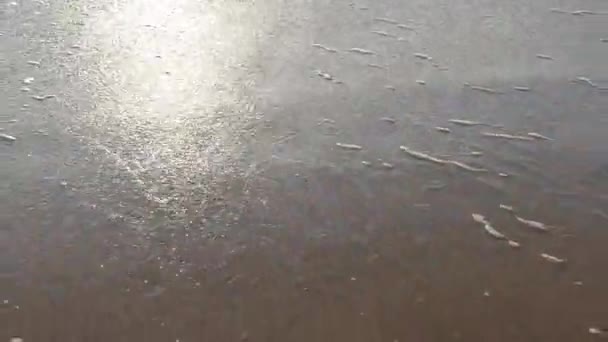 Fale morskie tworzące białą piankę na piaszczystej plaży — Wideo stockowe
