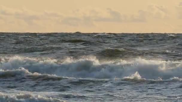 Большие морские волны во время бури — стоковое видео