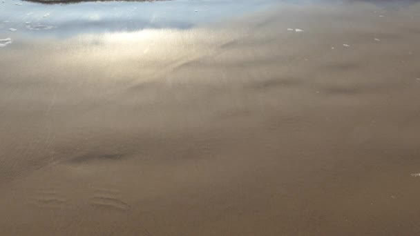 Playa húmeda arena secado después de las olas — Vídeo de stock