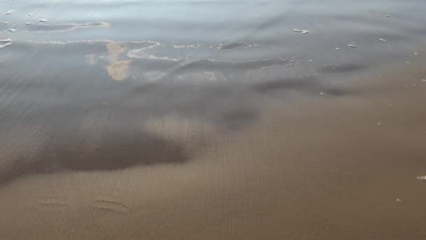 Мокрий пляж пісок сушіння після хвилі — стокове відео