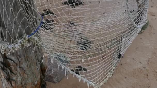 Red de pesca vieja colgando en la orilla del mar — Vídeos de Stock