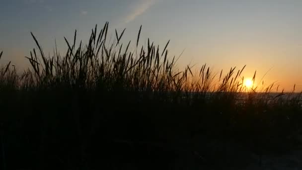 Zachód słońca sylwetki z trawy wydmy — Wideo stockowe