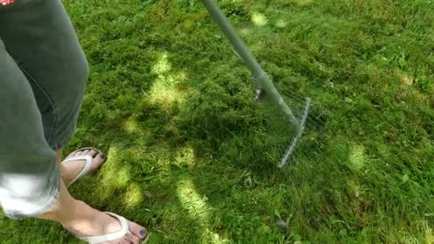 Woman Rake Fresh Cut Lawn Grass — Stock Video