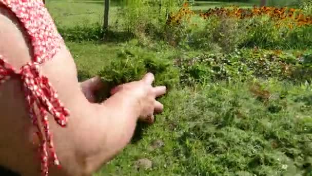 Жінка тримається за руки, а потім розсіює свіжу різьблену траву — стокове відео