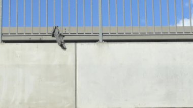 Plastik film örtüsü rüzgarda sallanıyor.