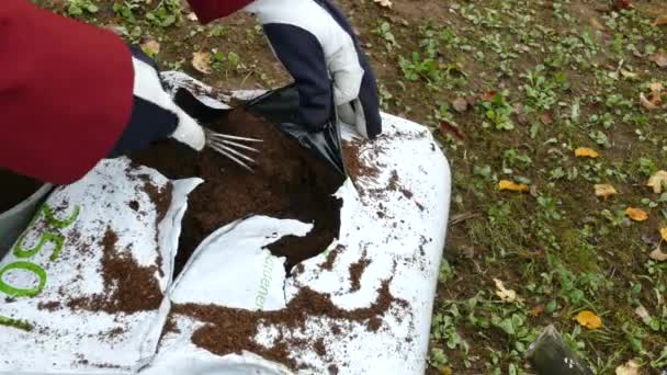 Jardineiro recebe solo de saco aberto de turfa — Vídeo de Stock