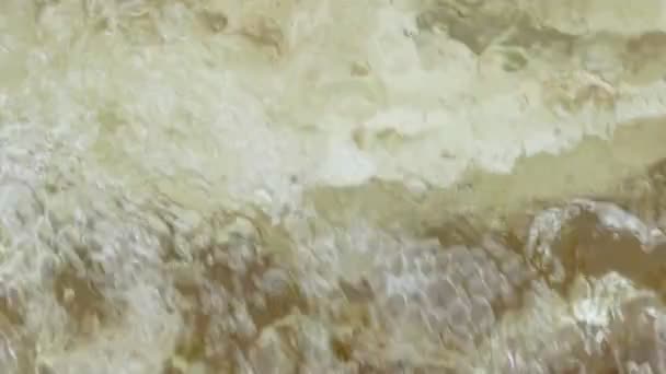 White plastic bag floating in sea water — Stock Video