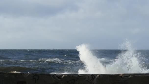 Grandes olas marinas durante la tormenta — Vídeo de stock