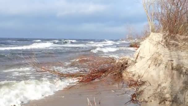 Burza zimowa wpływa na erozję wybrzeża Morza Bałtyckiego — Wideo stockowe