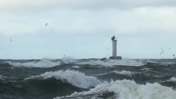 Farul de intrare în port, văzut peste marea furtunoasă — Videoclip de stoc