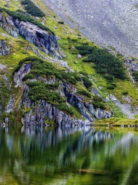 Polonya Tatra Ulusal Parkı 'nda küçük çamları ve küçük gölü olan dağ yamacı