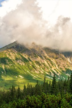 Polonya Tatra dağları yaz manzarası mavi gökyüzü ve beyaz bulutlar. HDR resmi